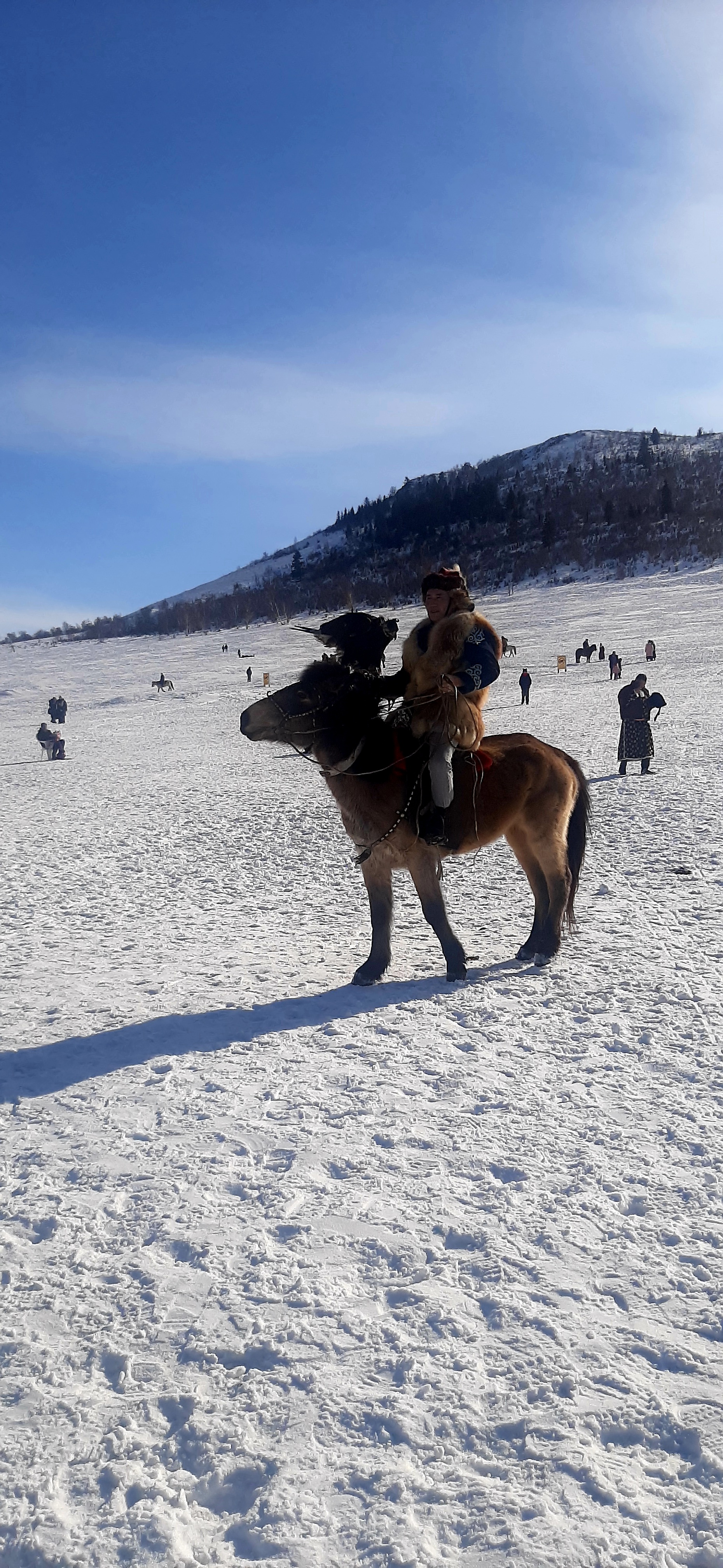 Master Kazakh eagle hunter in traditional costume Mongolia